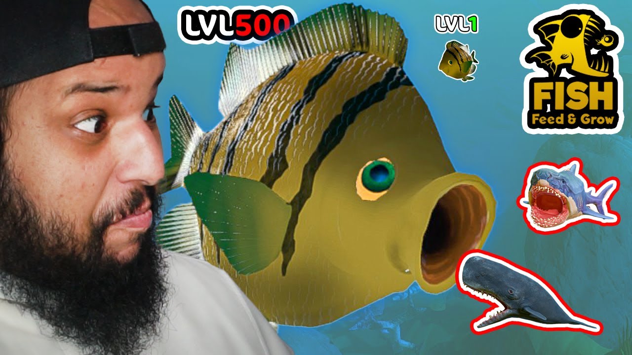 حياة سمكة صغيرة ضعيفة في البحر