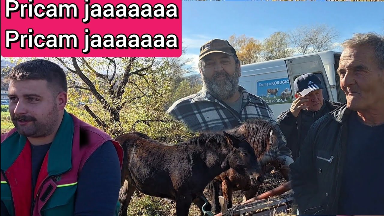 Ludilo u Šipovu,Zvijezda dana Smajici,Fadil I Žiža Dok Zmaj od SIPOVA VUCE KONCE IZ SJENE 