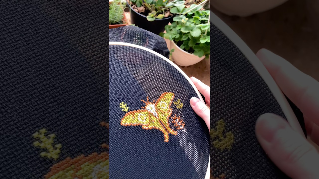 #crossstitchgirls #crossstitch #craftvlog