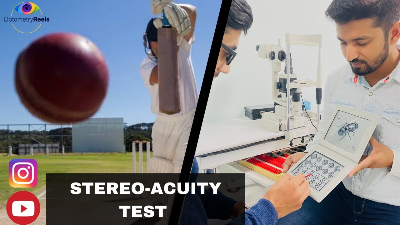 Fly stereo acuity test || Stereopsis || Fly test || Depth Perception