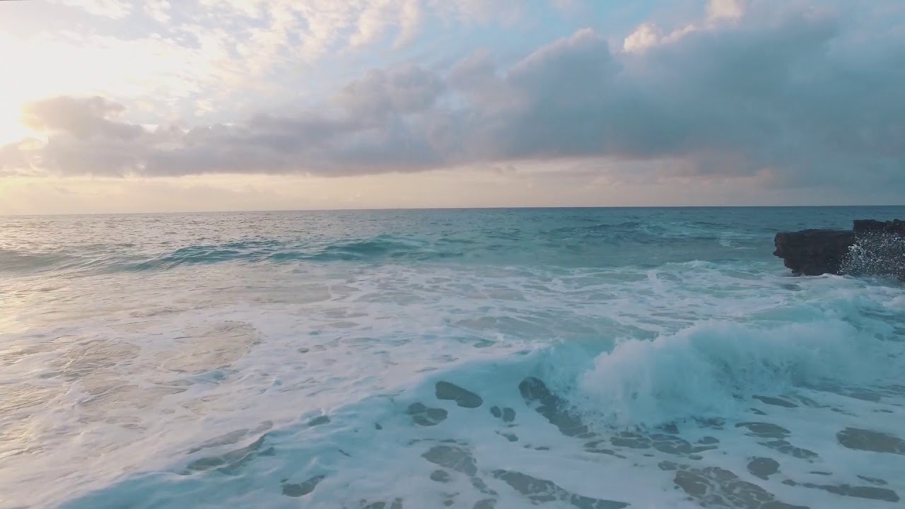 Nature vol.2 | B-Roll | Free Stock Footage
