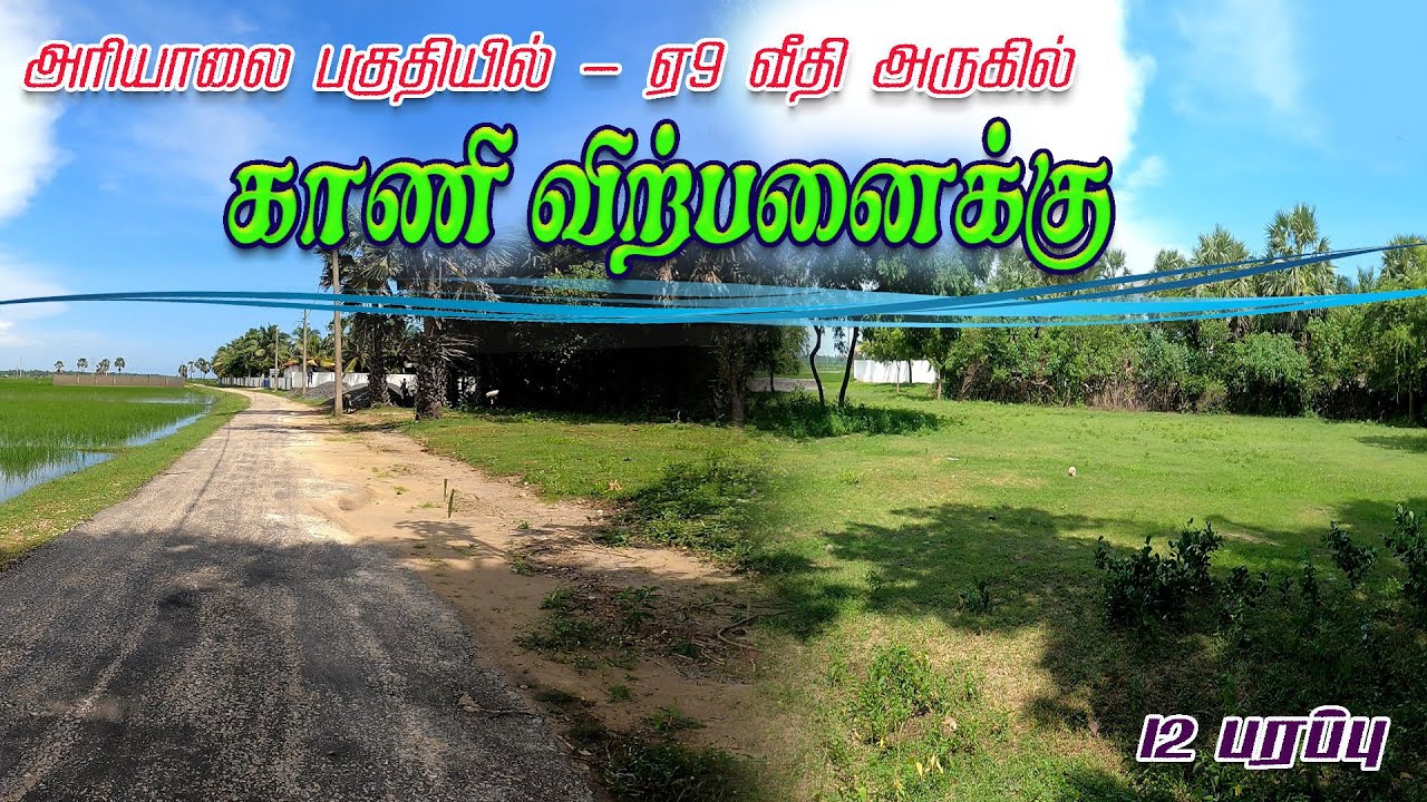 NP - 145 - A9 வீதி அருகில் 12 பரப்பு காணி விற்பனைக்கு l  40*12Lakh #jaffna l Northern Properties