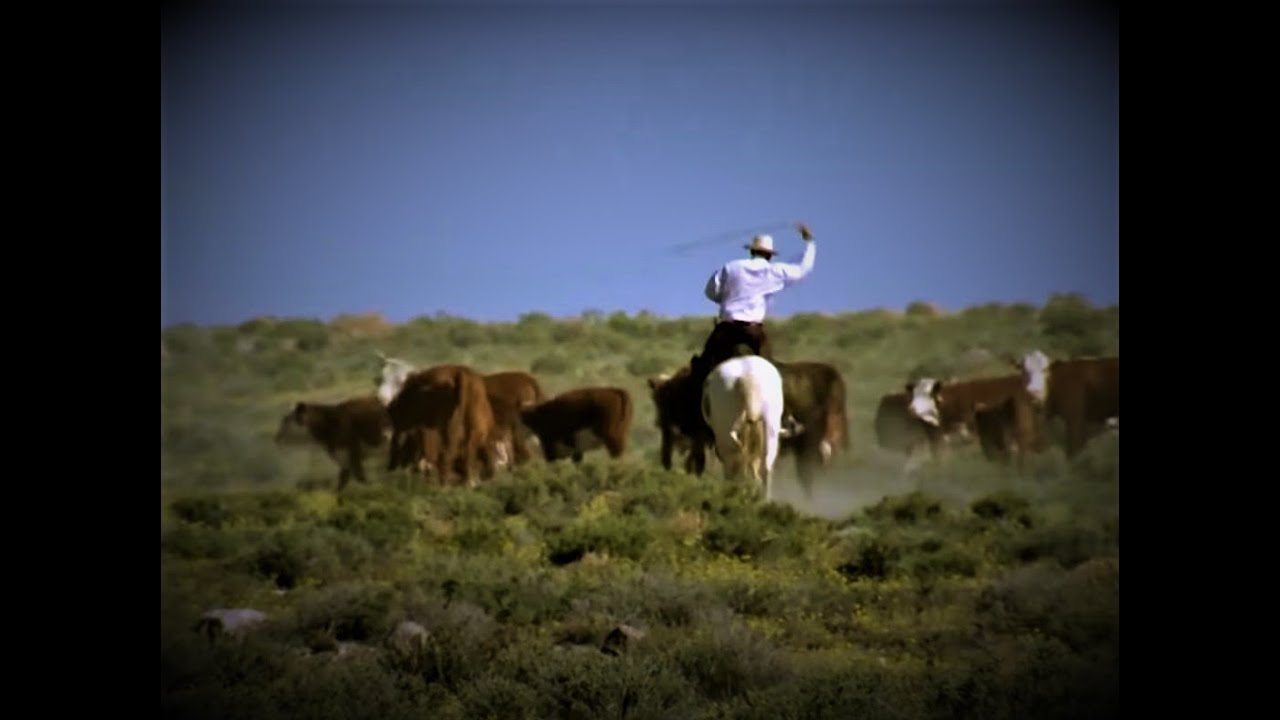 Challenges on the Rangeland: Series Official Trailer