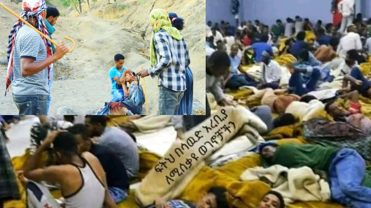 ስደት እና ቁጭት#ክፍል-1#አዲስ የስደት ድራማ#sedate ena kuchet#New ethiopian  movie 2025