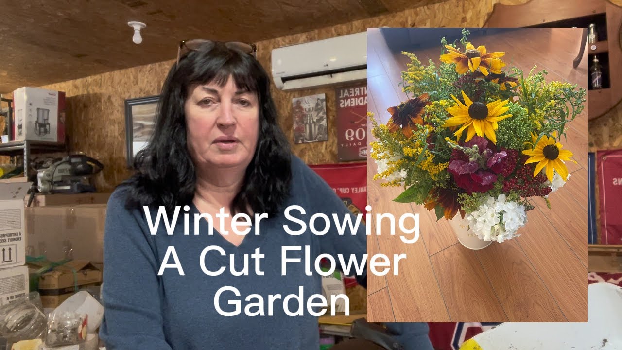 Winter Sowing A Cut Flower Garden