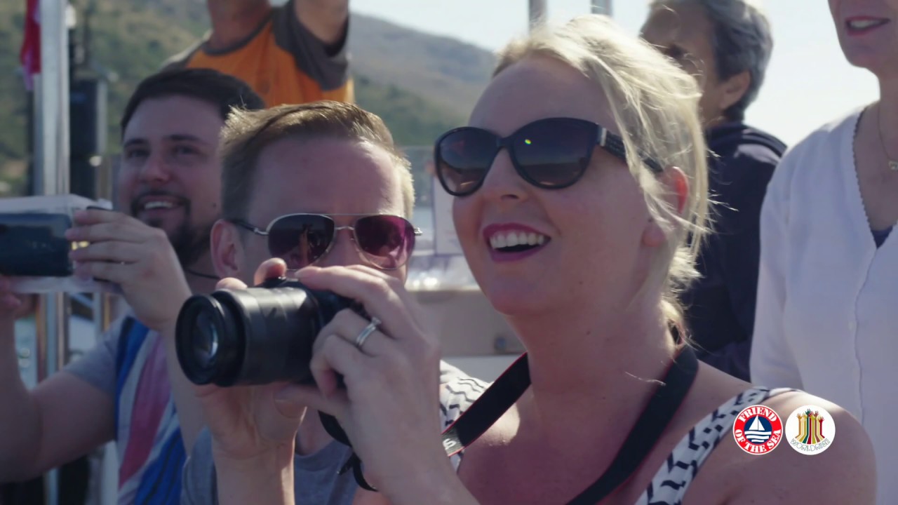 Avvistamento delfini a Golfo Aranci in Sardegna | #dolphinwatching