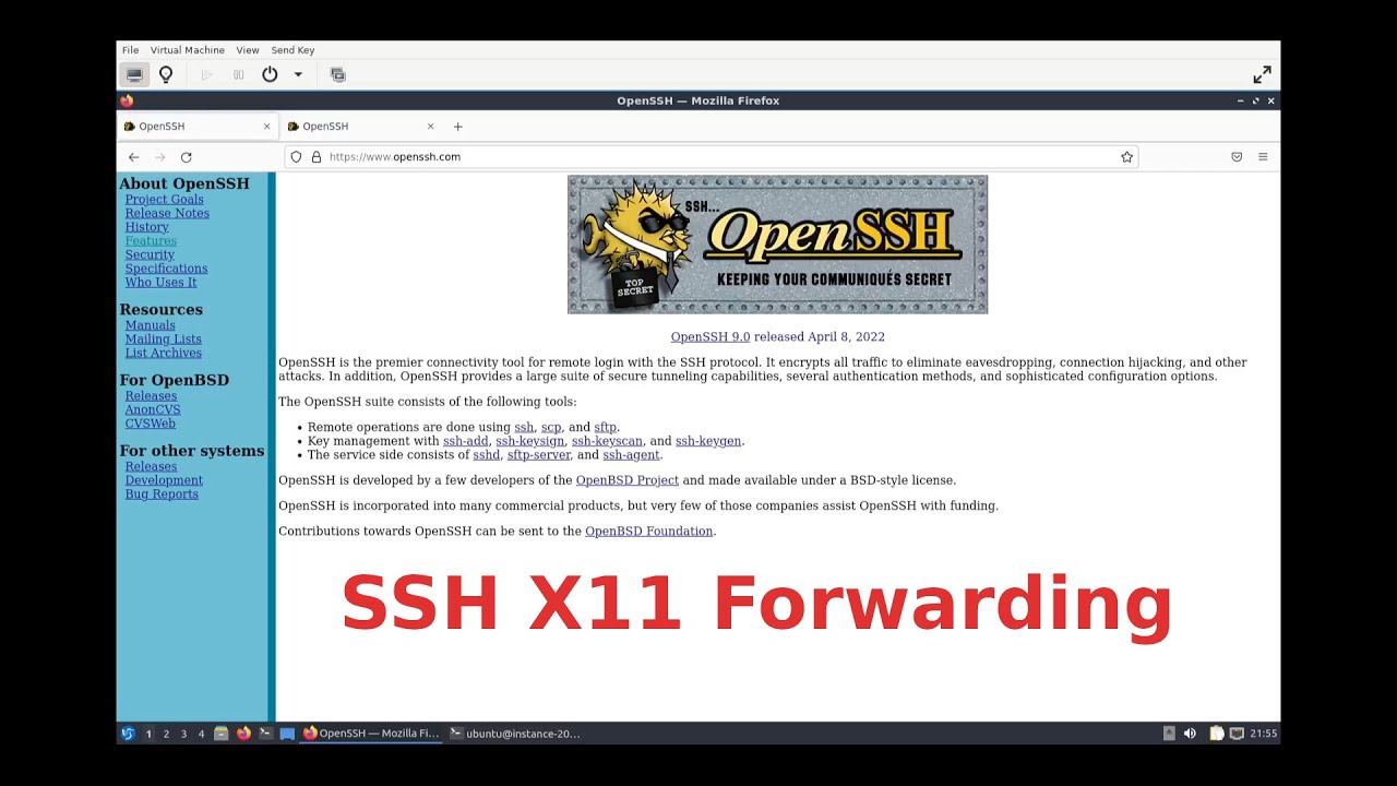 Oracle Cloud VPS: Remote GUI Application via SSH X11 Forwarding