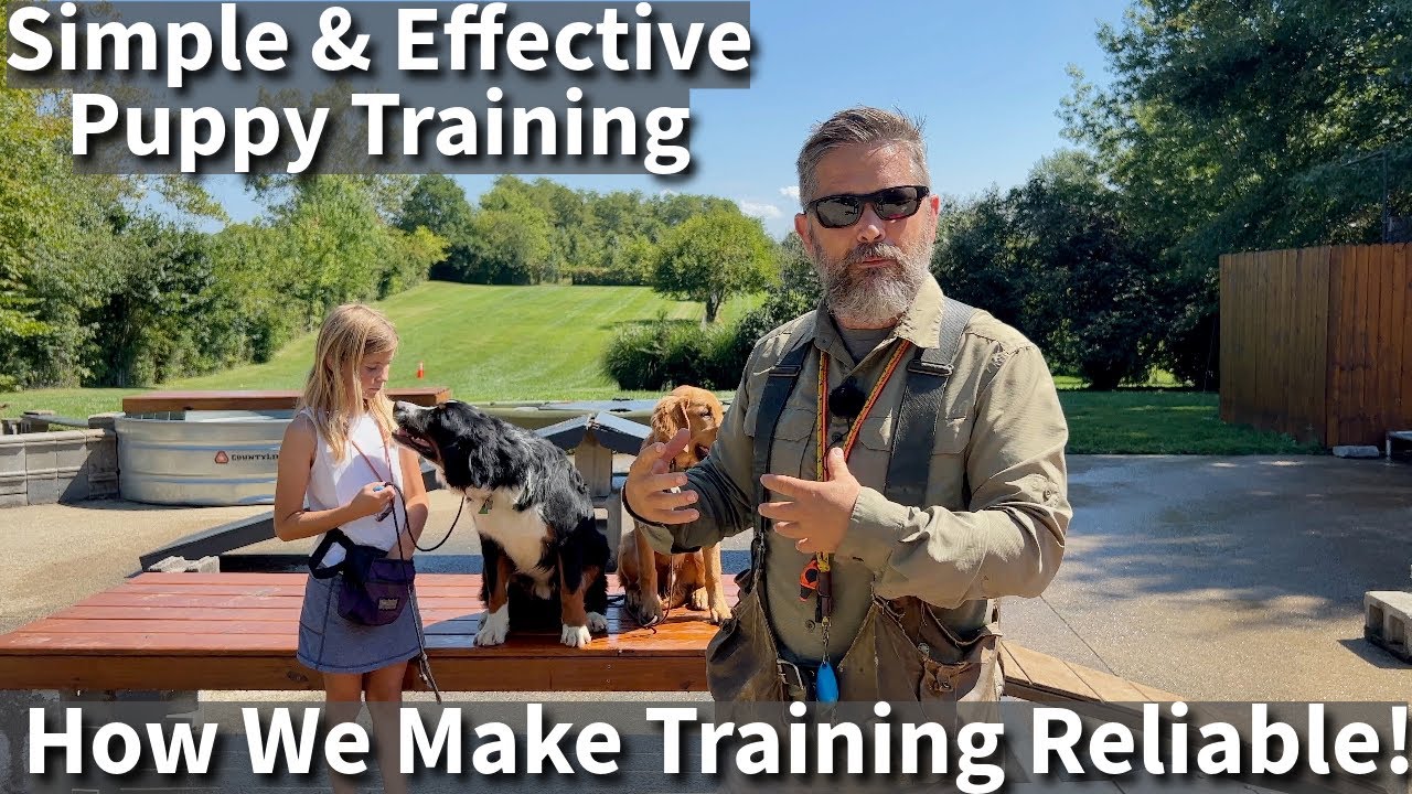 Simple & Effective Puppy Training | How We Make Basic Obedience Dog Training Reliable