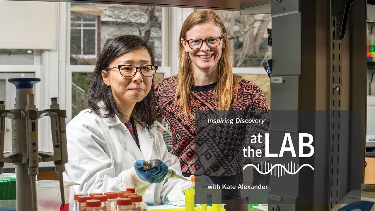 At the Lab: On the trail of a cellular cold case