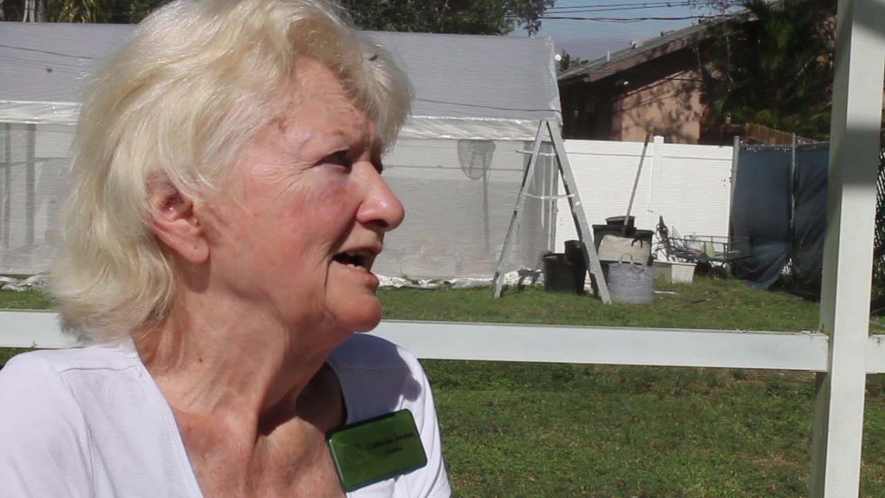 Florida Woman Sued to Smoke Medical Marijuana and Won