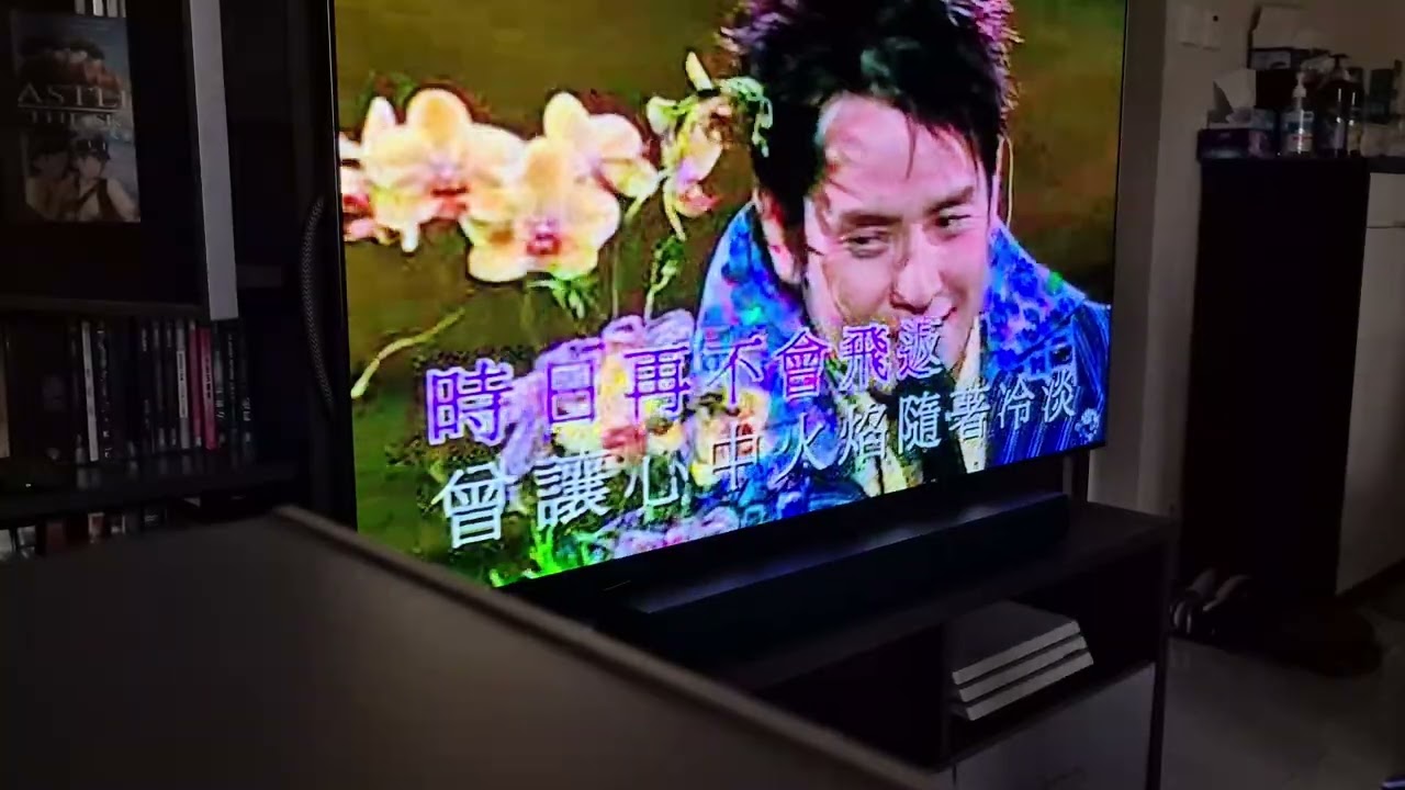 永不想你 Cover