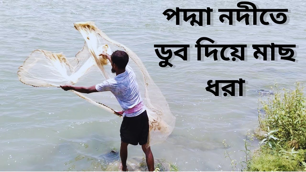 পদ্মা নদীতে ডুব দিয়ে মাছ ধরা // Diving and fishing in the Padma River // Padma Vlogs