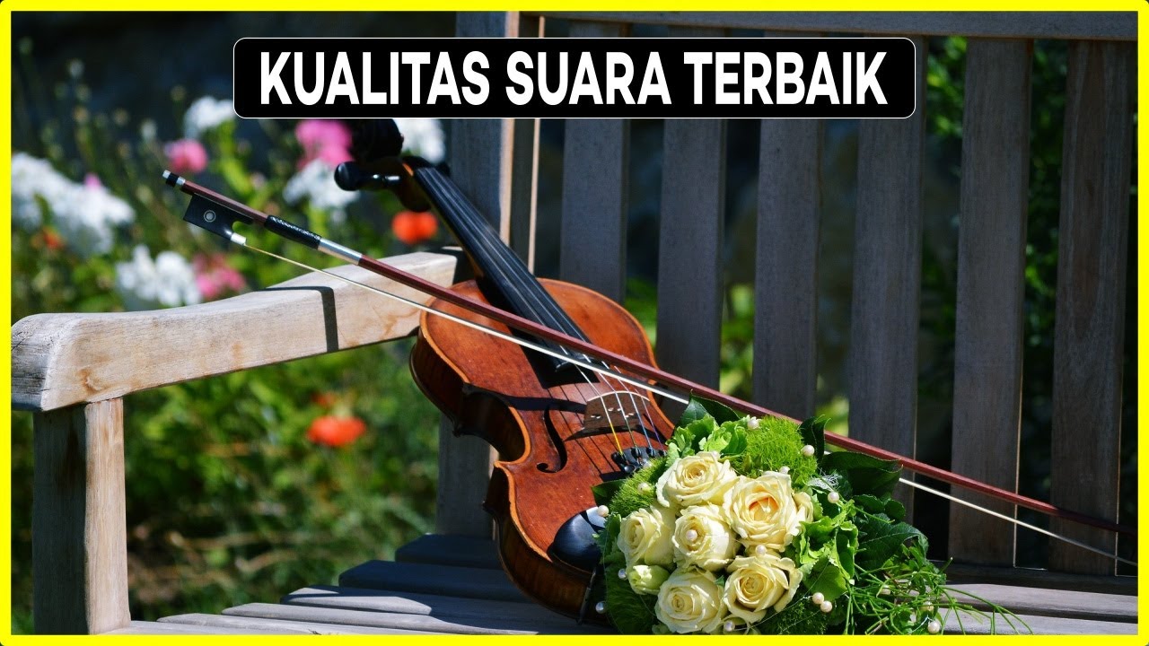 10 BIOLA TERBAIK UNTUK PEMULA & PROFESIONAL | Suara Indah, Merdu, Bikin Romantis!