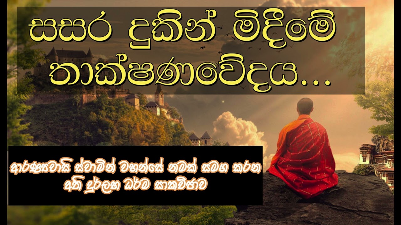 532 : සසර දුකින් මිදීමේ තාක්ෂණවේදය. | ආරණ්‍යවාසි ස්වාමින් වහන්සේ නමකගේ දුර්ලභ ධර්ම දේශණය