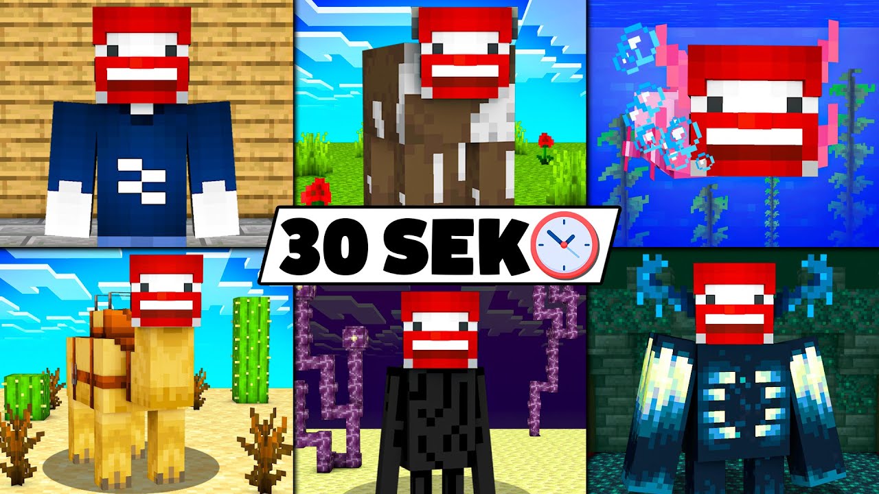30 SEKUNDEN = ZUFÄLLIGES TIER in Minecraft