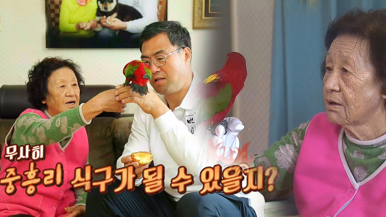 까칠한 앵무새 만새와 제리 장모의 숨 막히는 첫 만남! @자기야-백년손님 303회 20151112