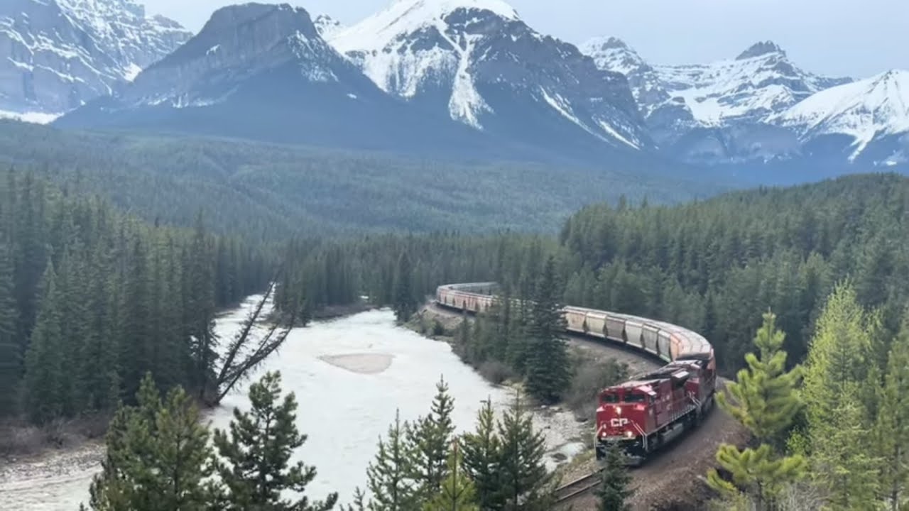 Morant’s Curve 2024