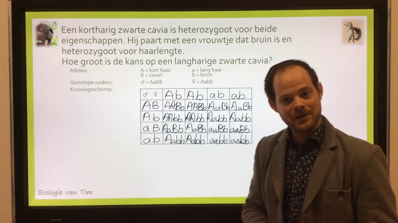 Biologie van Tim - Dihybride kruisingen