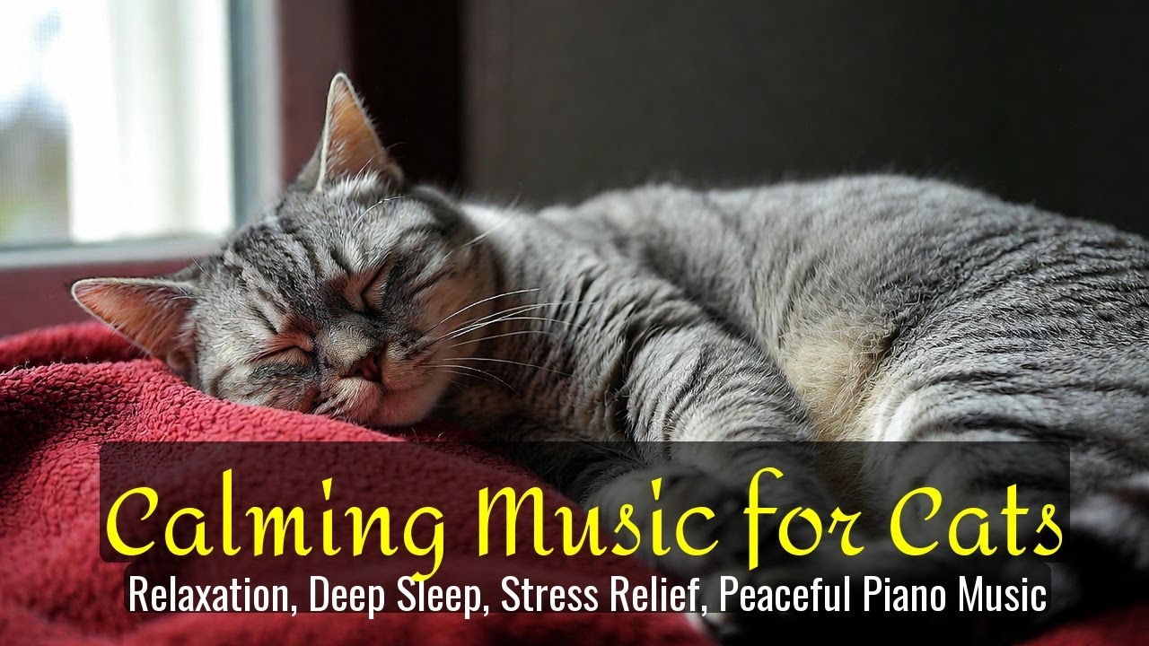 Calming Music for Cats - Relaxation, Deep Sleep, Stress Relief, Peaceful Piano Music | Season 31