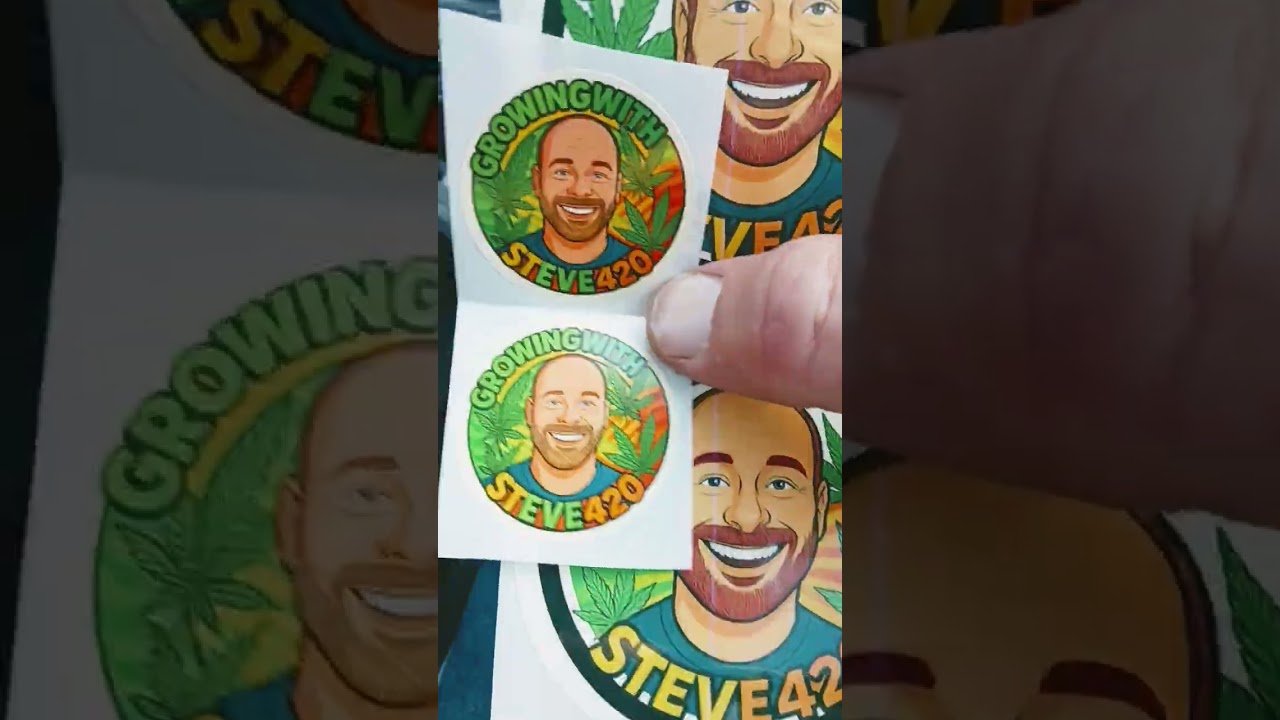 @GrowingWithSteve420 aye I appreciate the slaps homie #staychiefin