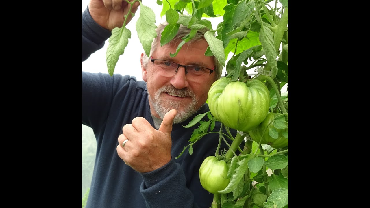 le 16/072021:Que peut on encore semer en juillet et planter ?la saison n'est pas fini.
