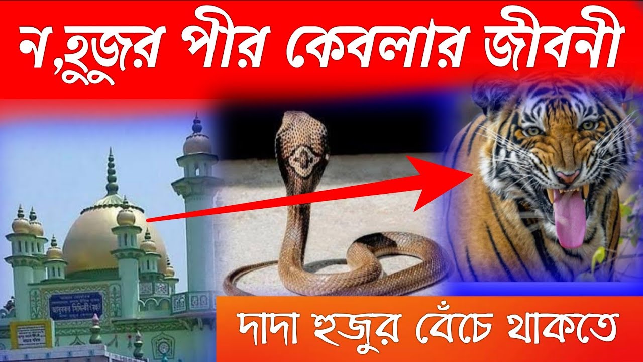 ন,হুজুর পীর কেবলার জীবনী..দাদা হুজুর দুনিয়াতে বেঁচে ছিলেন যখন..সুন্দর ওয়াজ
