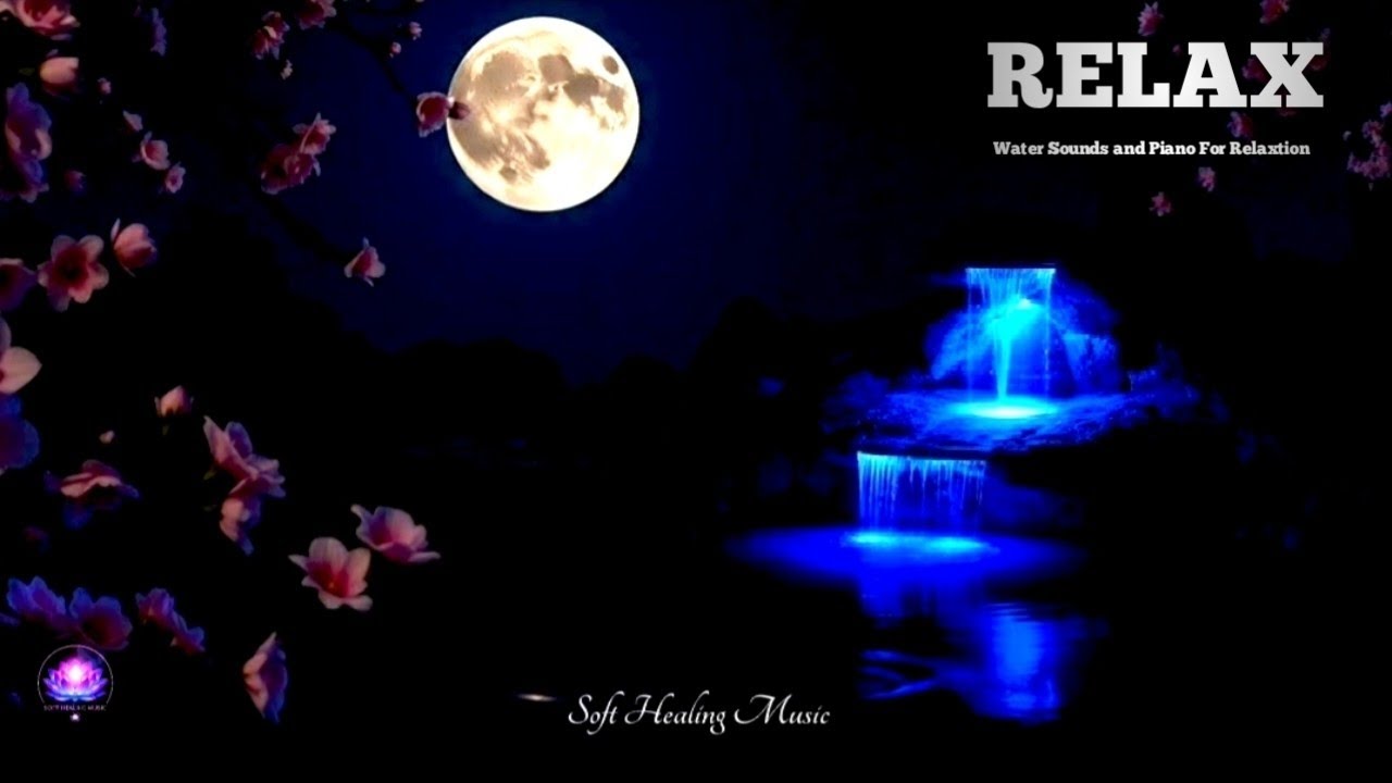 Moonlit Waters and Blooming Lotus in a World Without Time