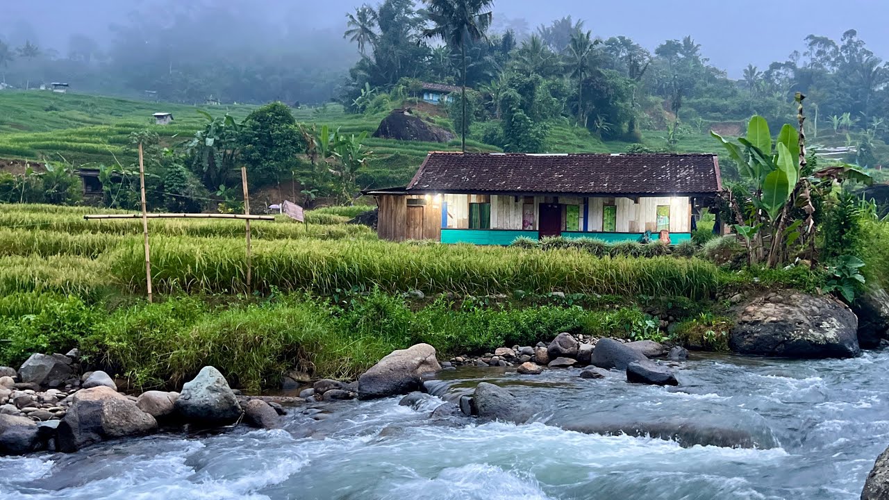 Hidup di desa, Menginap Dirumah Pinggir Sungai, Ini Yang Akan Dirasakan