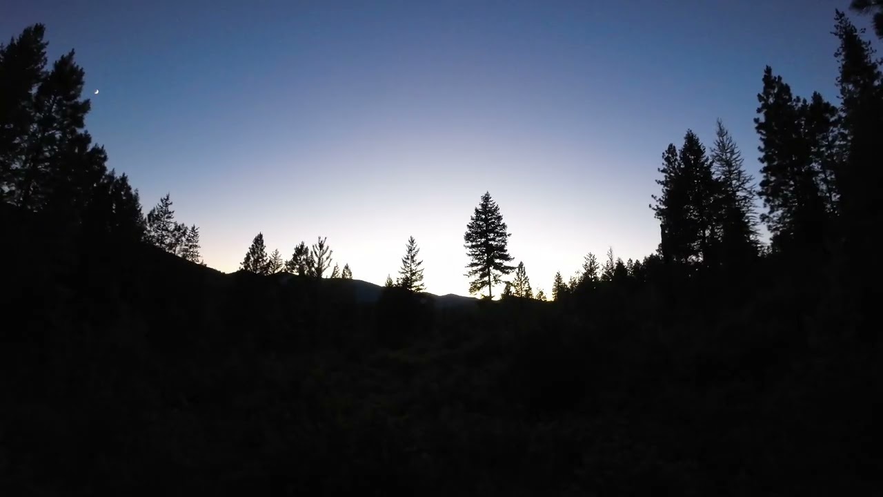 Montanan Sunsets