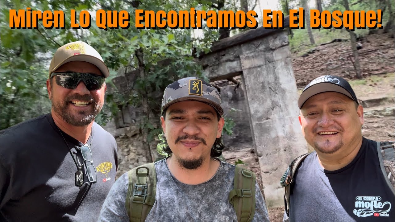 Aventura En El Bosque De Arizona