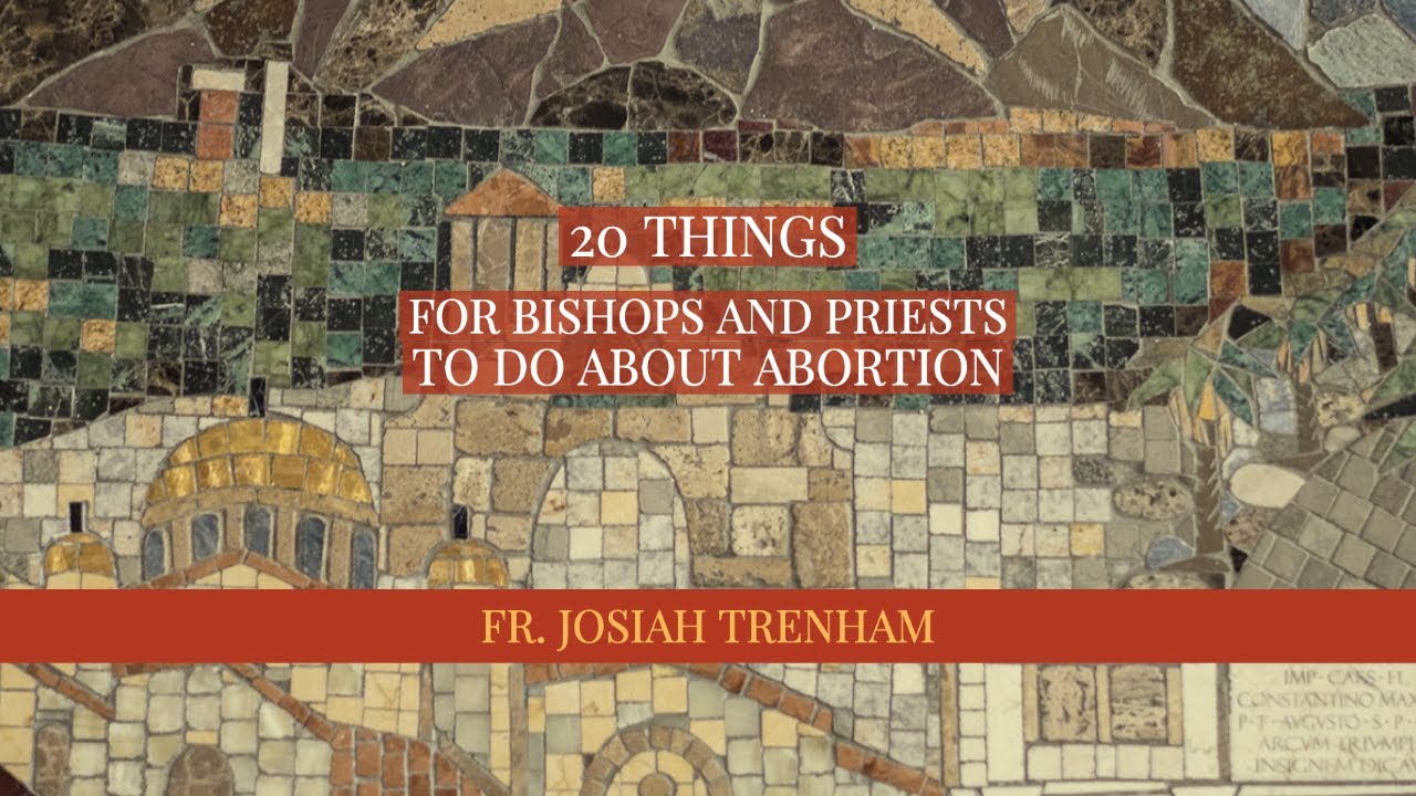 20 Things for Bishops and Priests to Do About Abortion