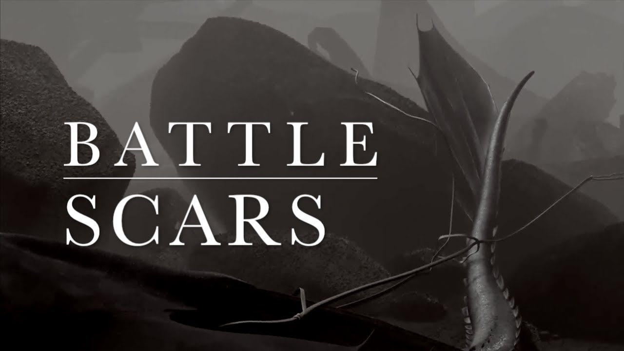 HTTYD || Battle Scars || music video