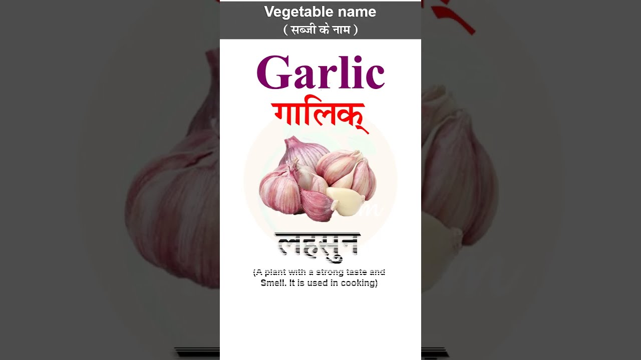 GARLIC | लहसुन का अंग्रेजी | Pronunciation and Hindi meaning of Garlic | English words | #shorts