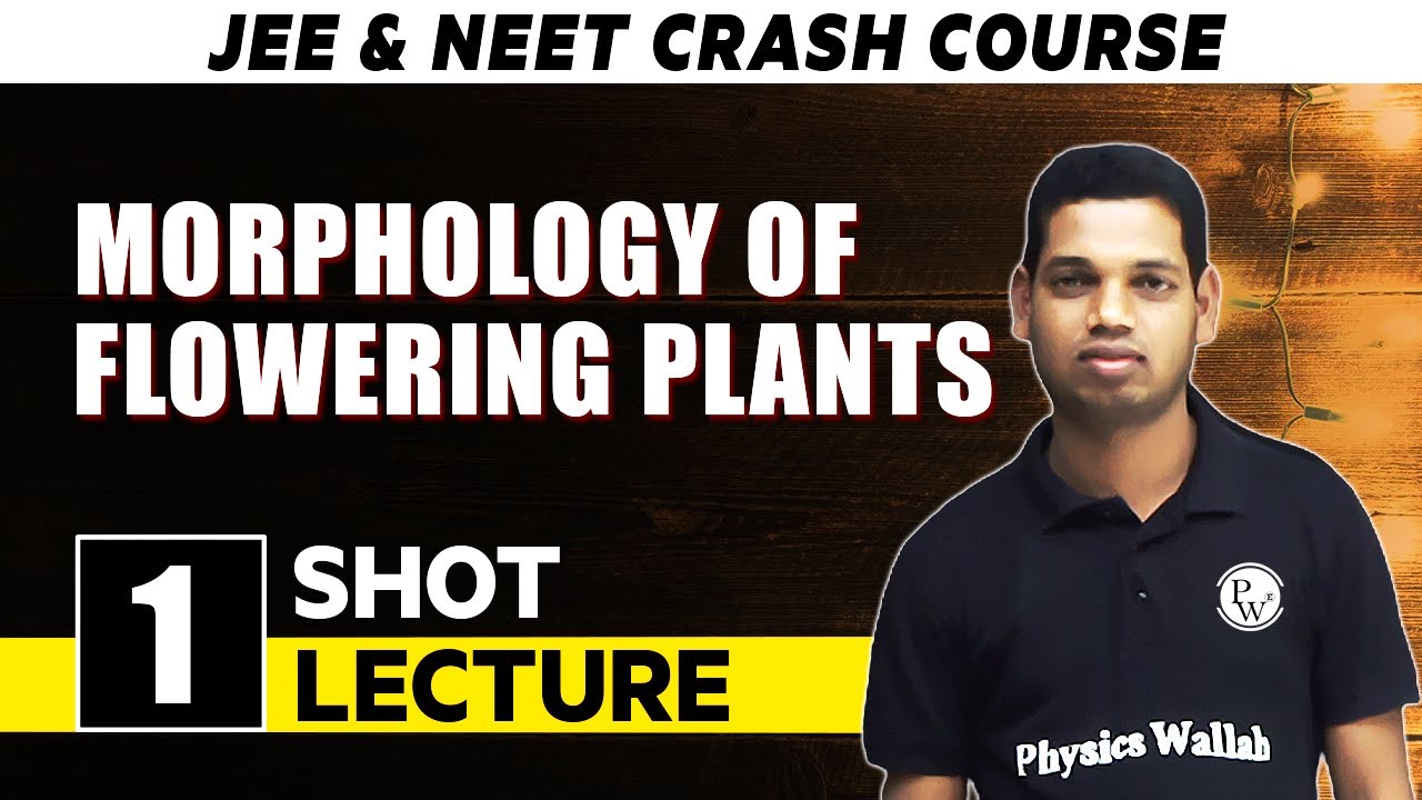 Morphology Of Flowering Plants - One Shot Lecture | CHAMPION - NEET CRASH COURSE 2022