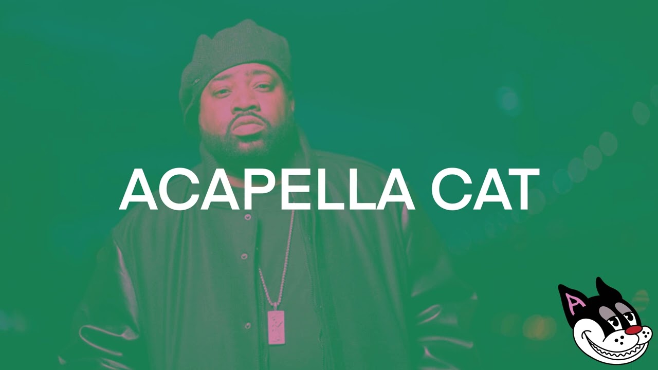 Lord Finesse feat. KRS-One - No Gimmicks Acapella 92 BPM - 4K Acapella Cat
