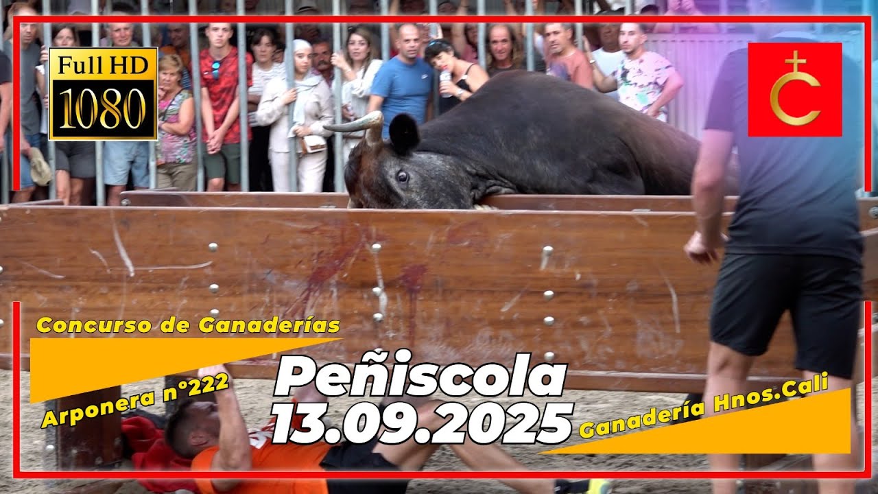 Peñiscola 13/09/2025 Concurso de Ganaderías ▪️ Hnos Cali 🔝🔝