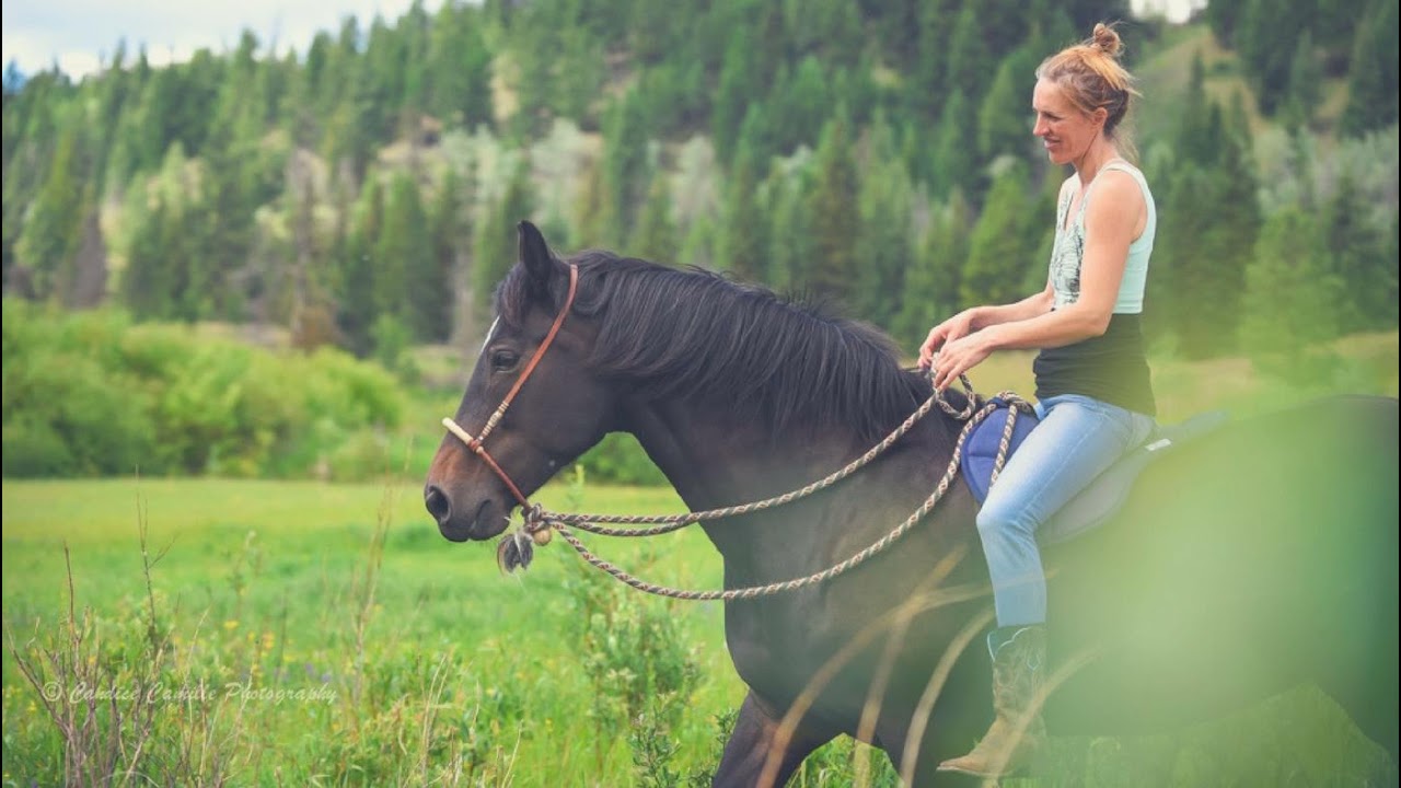 Whole Horse | Finding sacred spaces with horses with Dr. Susan Fay