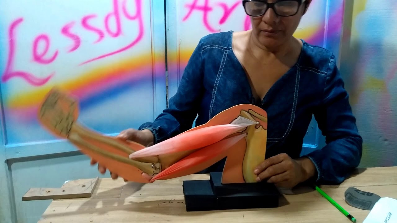 Contracción Muscular