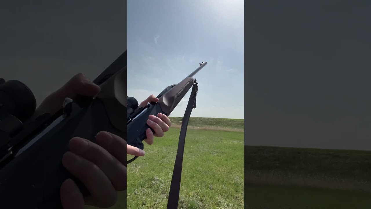 Benelli Argo-E #308Win #hunting #guns