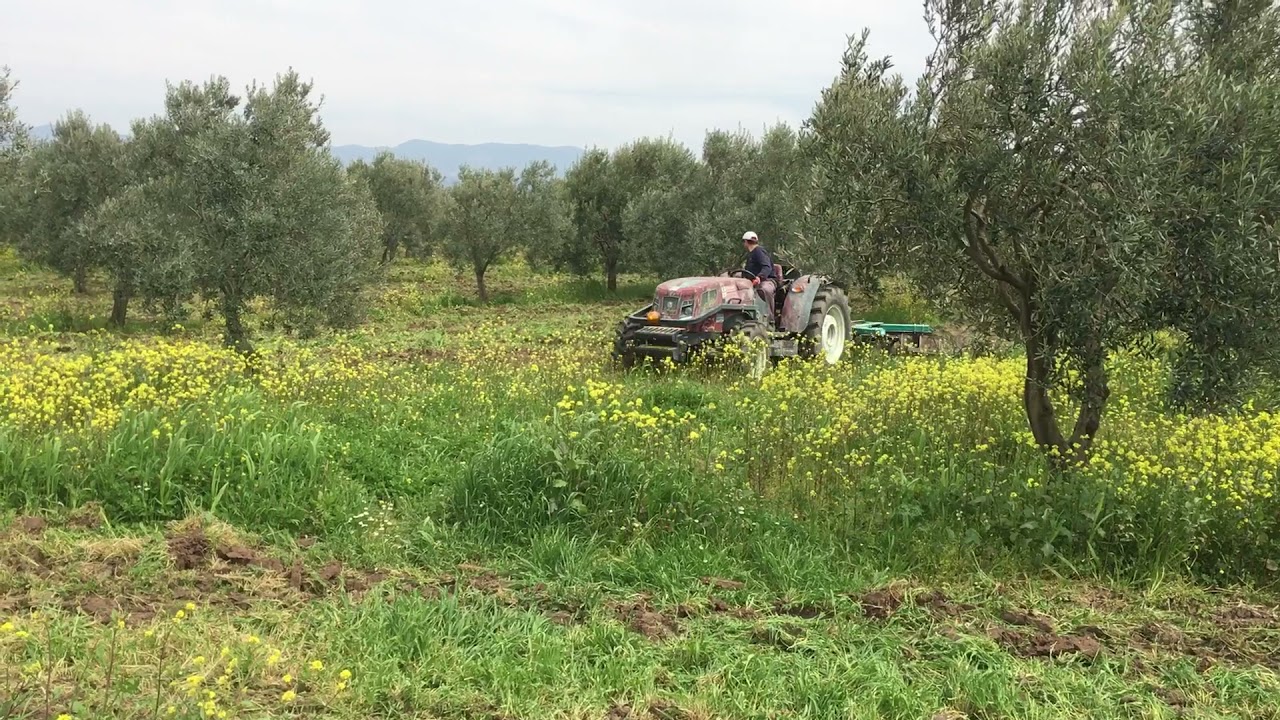 Erkunt Kıymet 95 m Lüks - Rafet Onar Ağır tip 22 li goble