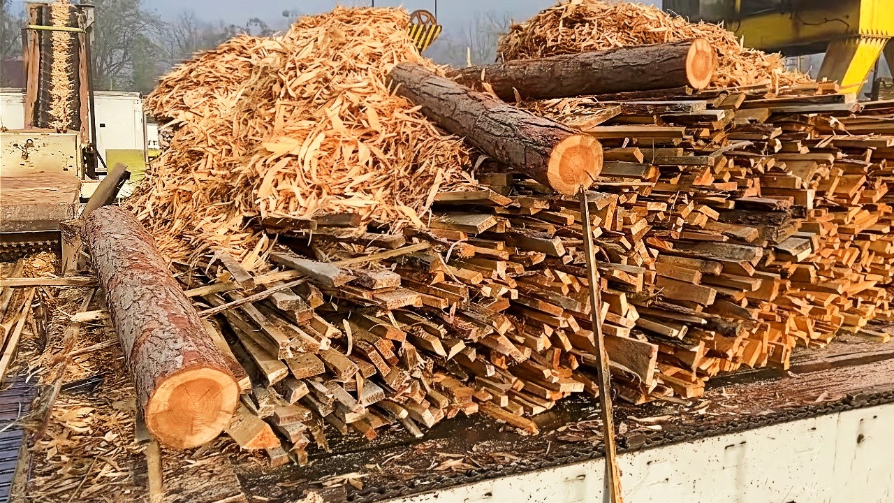 Mesmerizing Timber Shredding | Oddly Satisfying