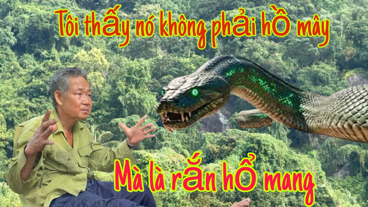 người đàn ông chạm cháng rắn hổ mang tại núi cắm rắt nhiều lần mỗi lần rập nó điều thót tim,