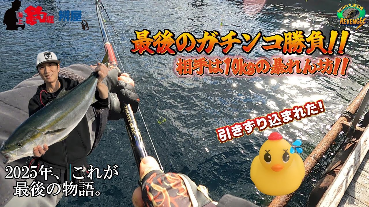 【海上釣堀】狙うは鰤!!  最後のガチンコ勝負!! #海上釣堀 #餌 #釣り好き