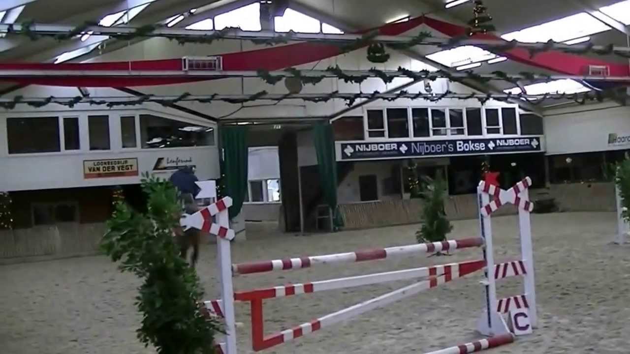 6 yr old mare Carolus II x Baloubet du Rouet Training show