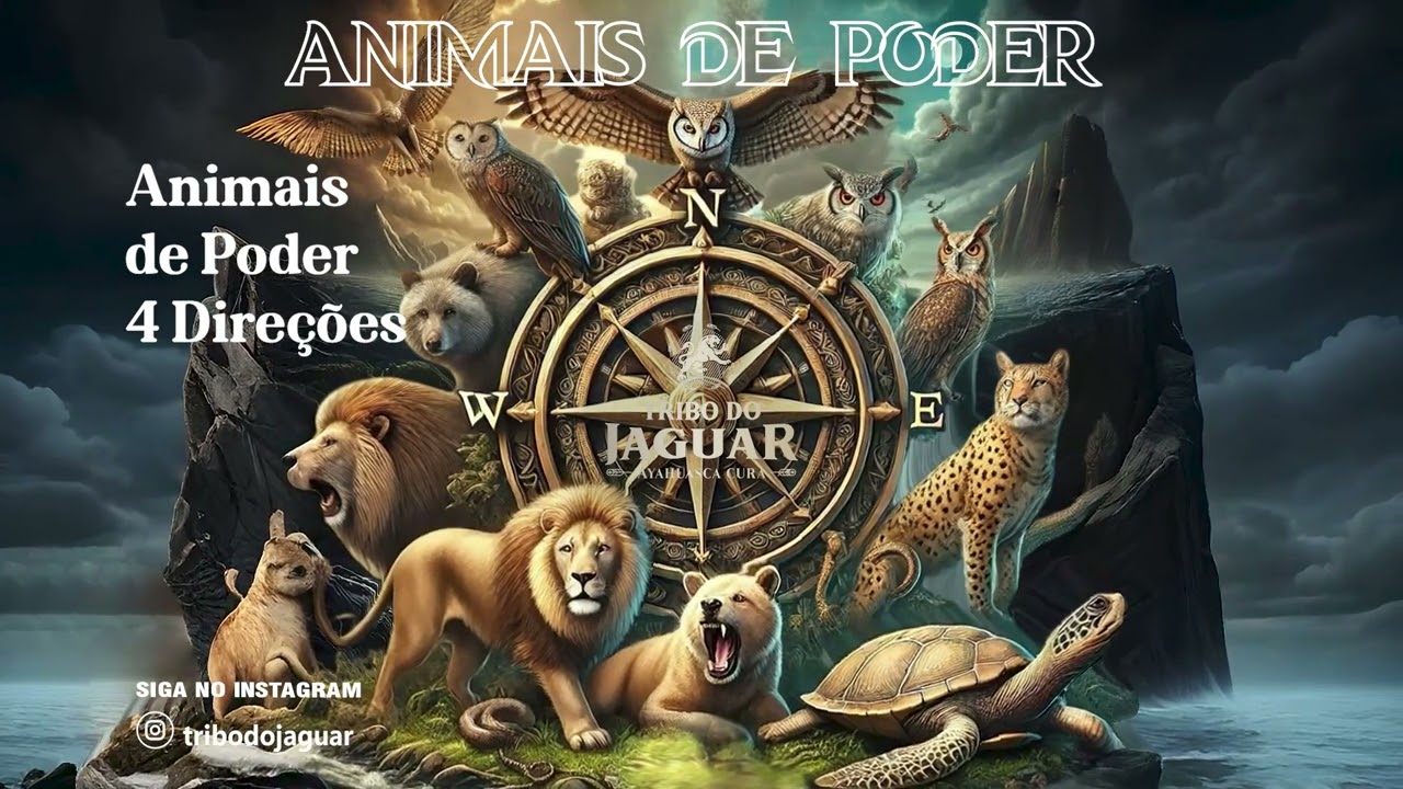 Tribo do Jaguar - Animais de poder - 4 Direções