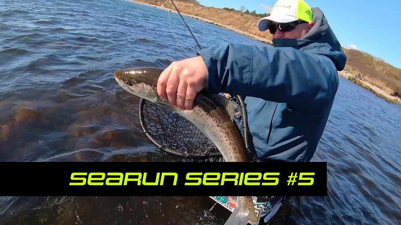 SEARUN Series - Episode 5 - Keep moving