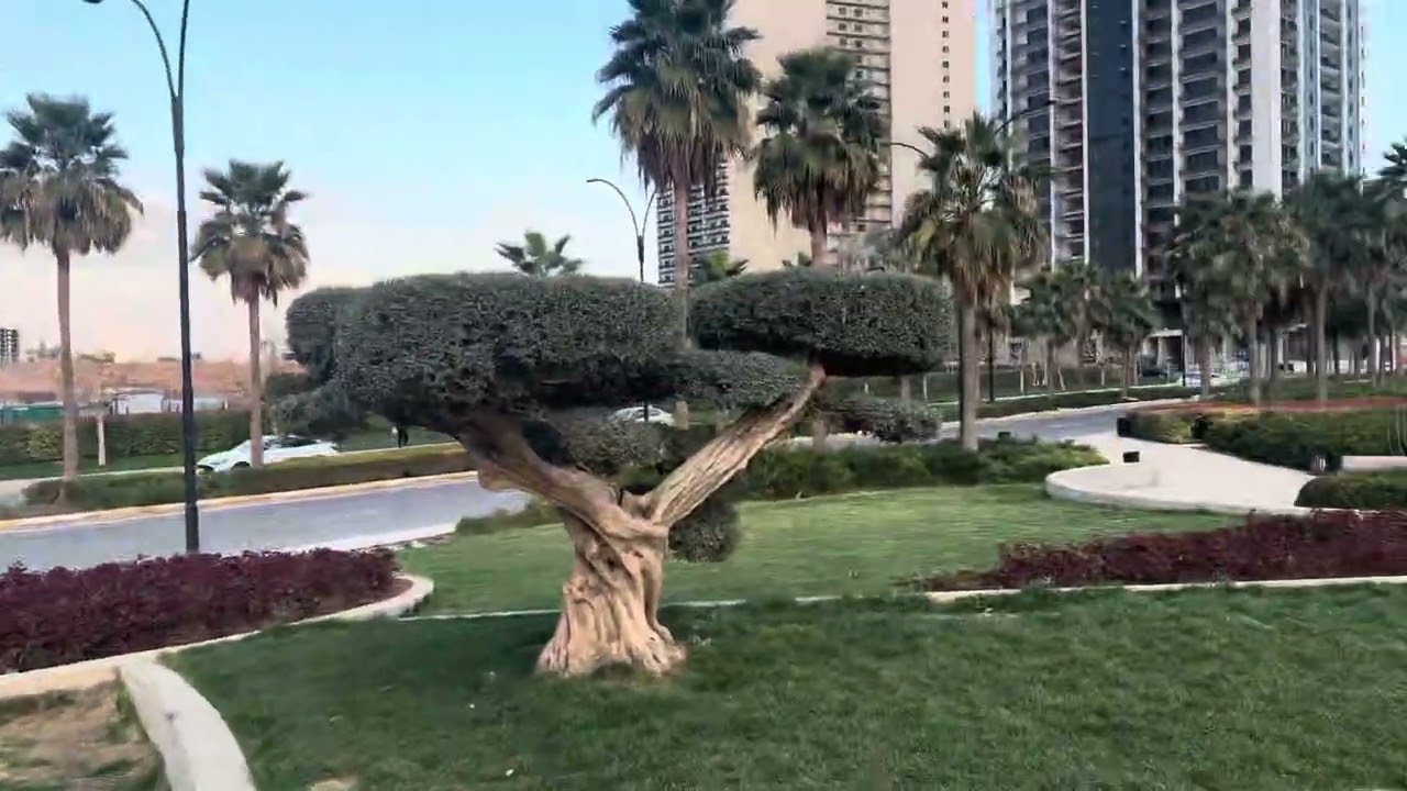 Erbil l