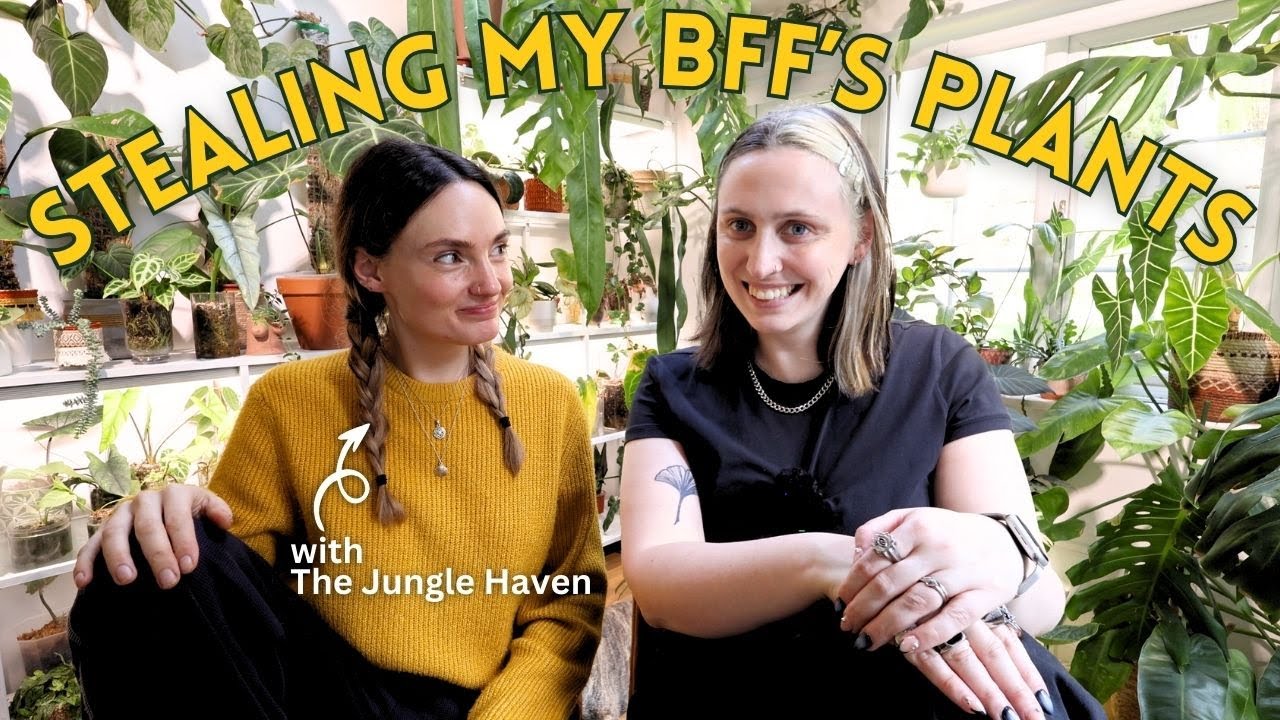 The Dreamiest Plants in @TheJungleHaven’s Collection 🌿 (I’m Obsessed!)