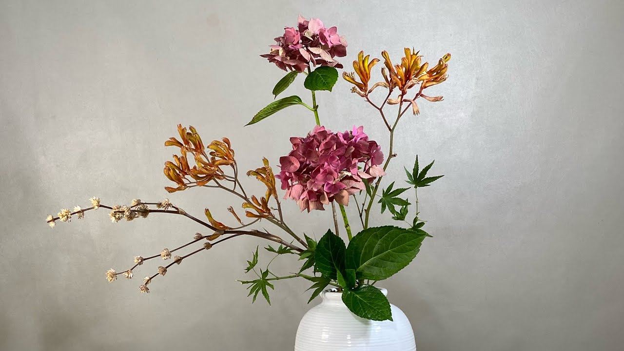 Hydrangeas - Elegant Hydrangea and Kangaroo Paw Ikebana Arrangement