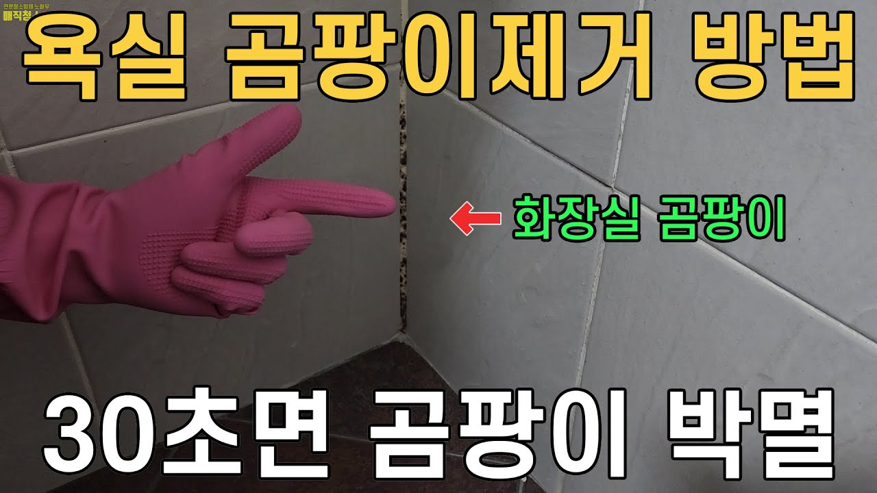 욕실 곰팡이제거 어렵지 않습니다! 30초면 화장실 실리콘 곰팡이 완벽히 제거할수 있어요~매직청소tv